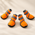 Bottes hautes pour chien