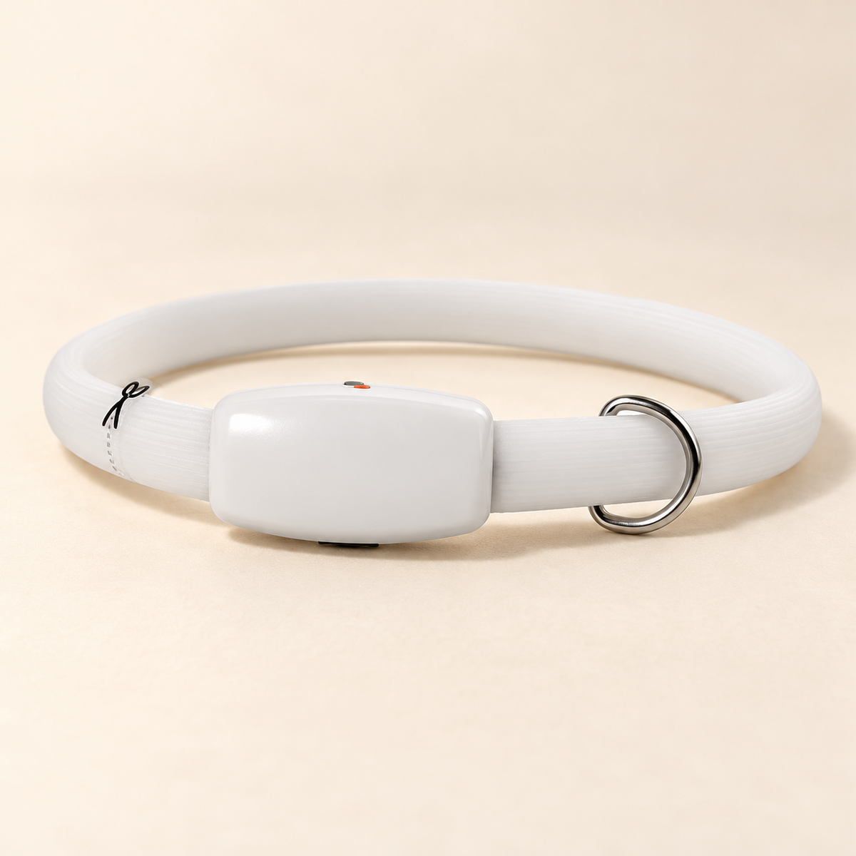 Collier LED rechargeable pour chien