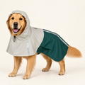 Imperméable à capuche pour chien