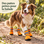Bottes hautes pour chien