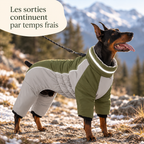 Combinaison polaire montagne pour chien avec harnais
