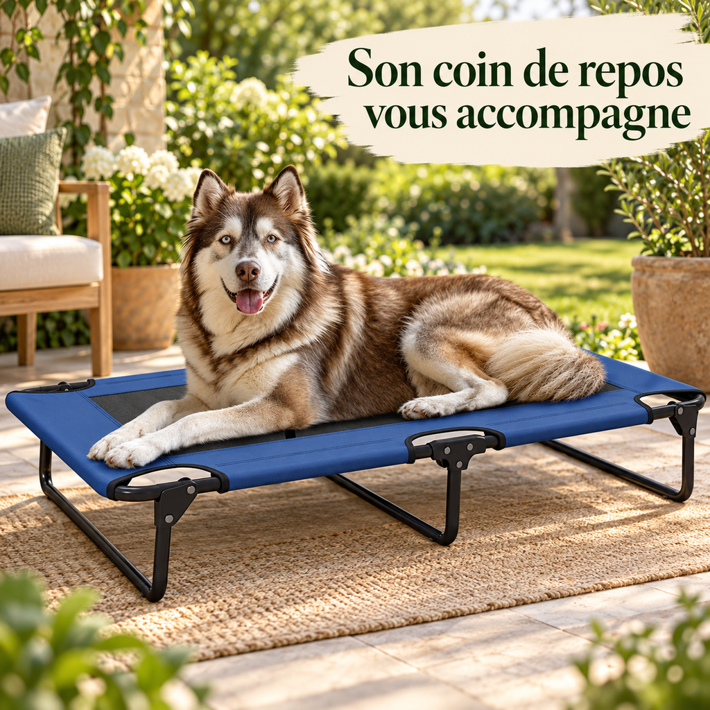 Lit de camp surélevé pour chien