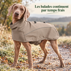 Veste softshell déperlante pour grand chien