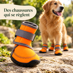 Bottes hautes pour chien