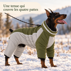 Combinaison polaire montagne pour chien avec harnais