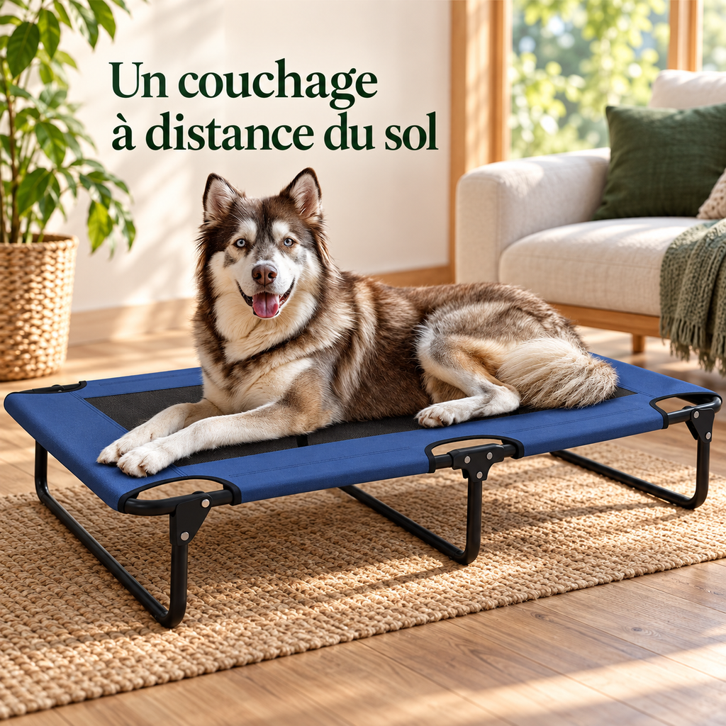 Lit de camp surélevé pour chien