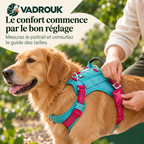 Harnais anti-traction rembourré
