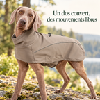 Veste softshell déperlante pour grand chien