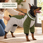 Combinaison polaire montagne pour chien avec harnais