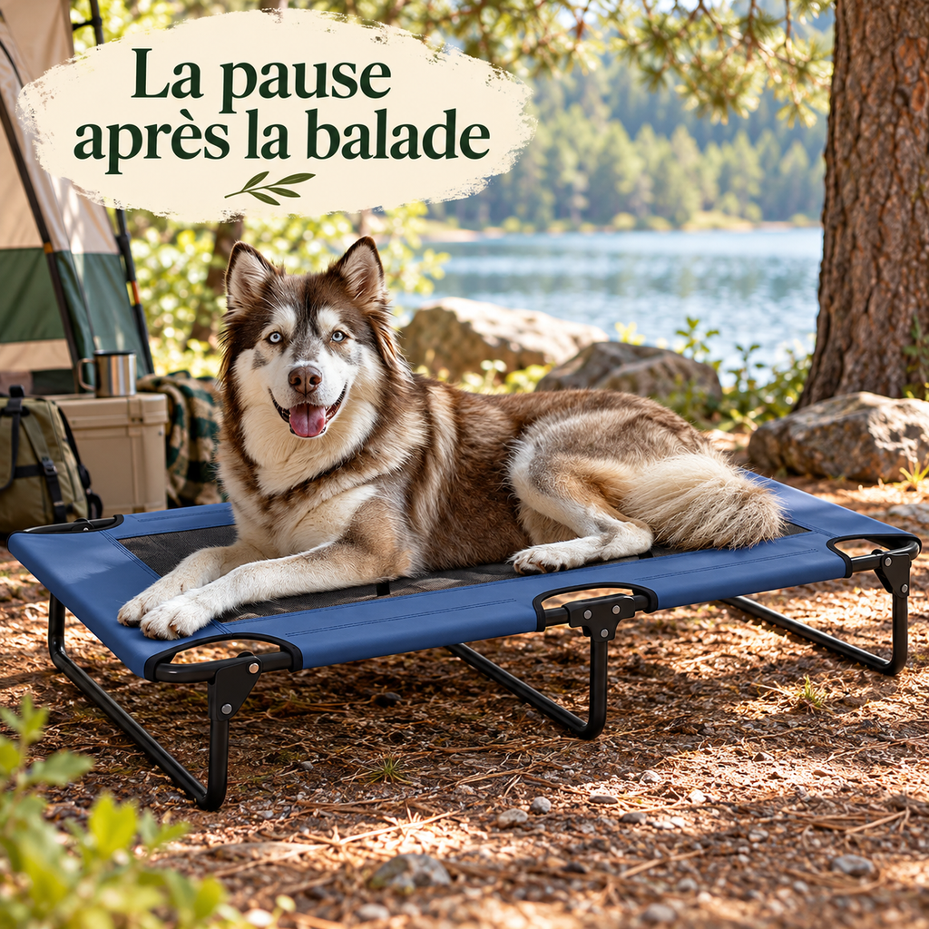 Lit de camp surélevé pour chien