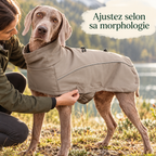 Veste softshell déperlante pour grand chien