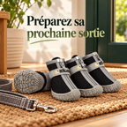 Chaussures en peluche pour chien