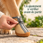 Chaussures en peluche pour chien