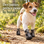 Chaussures en peluche pour chien