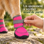 Bottes hautes pour chien