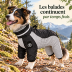 Combinaison polaire montagne pour chien avec harnais