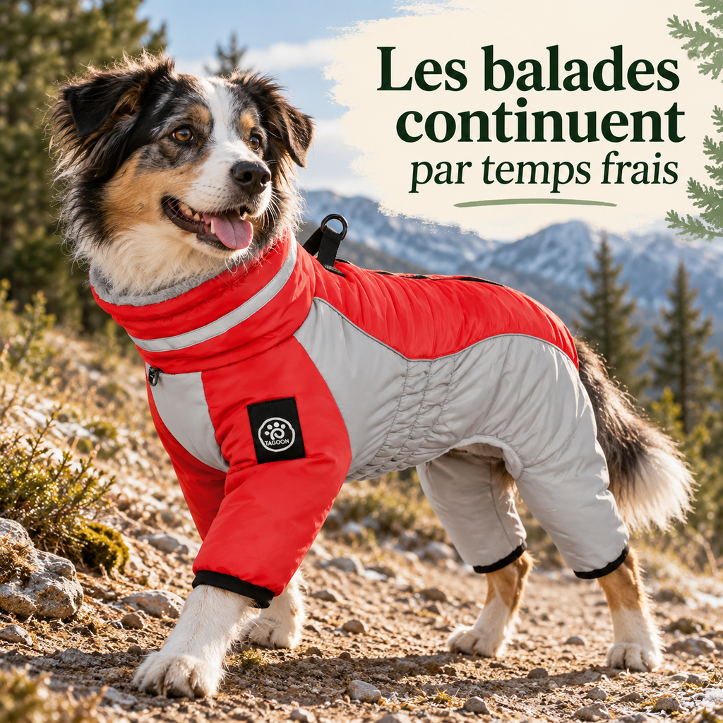 Combinaison polaire montagne pour chien avec harnais