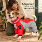 Combinaison polaire montagne pour chien avec harnais