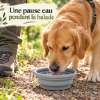 Gamelle de voyage pliable pastel