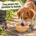 Gamelle de voyage pliable pastel