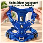 Harnais anti-traction — Sentier