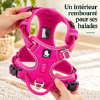 Harnais anti-traction — Sentier