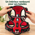 Harnais anti-traction — Sentier