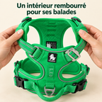 Harnais anti-traction — Sentier