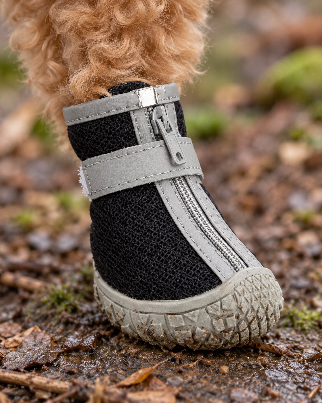 Chaussures en peluche pour chien, Gris clair — détails et finitions. Taille présentée : 2 (intérieur 3,3 × 4 cm, gabarit indicatif).