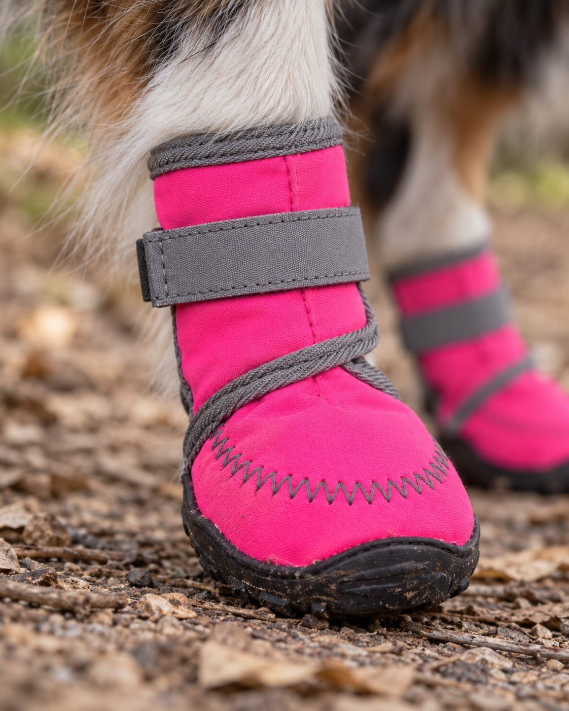 Bottes hautes pour chien, Rose — détails et finitions