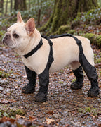 Bottes imperméables pour chien, Noir — vue rapprochée. Taille présentée : S (gabarit indicatif).