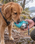 Gourde de voyage pour chien avec bol, Bleu — en situation