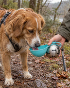 Gourde de voyage pour chien avec bol, Bleu — moment de vie