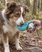 Gourde de voyage pour chien avec bol, Bleu — vue rapprochée