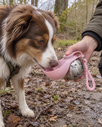 Gourde de voyage pour chien avec bol, Rose — moment de vie