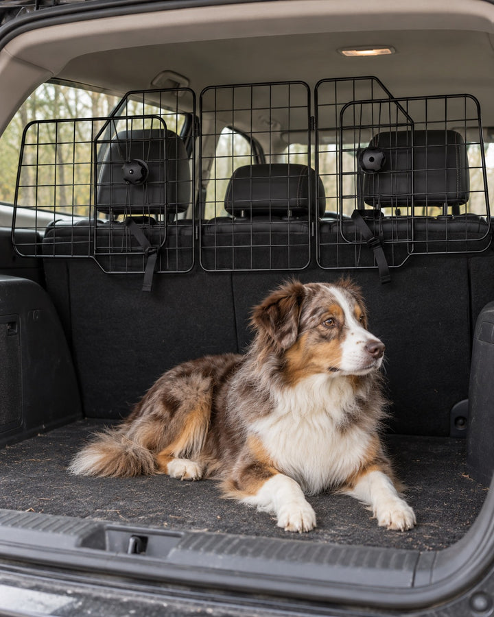 Grille de séparation voiture pour chien