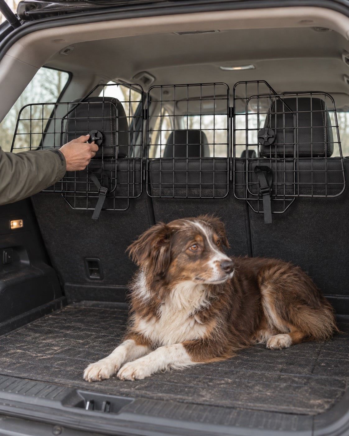 Grille de séparation voiture pour chien, Modele unique — moment de vie
