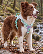 Harnais anti-traction — Sentier, Lilas pastel — vue d’ensemble. Taille présentée : M.