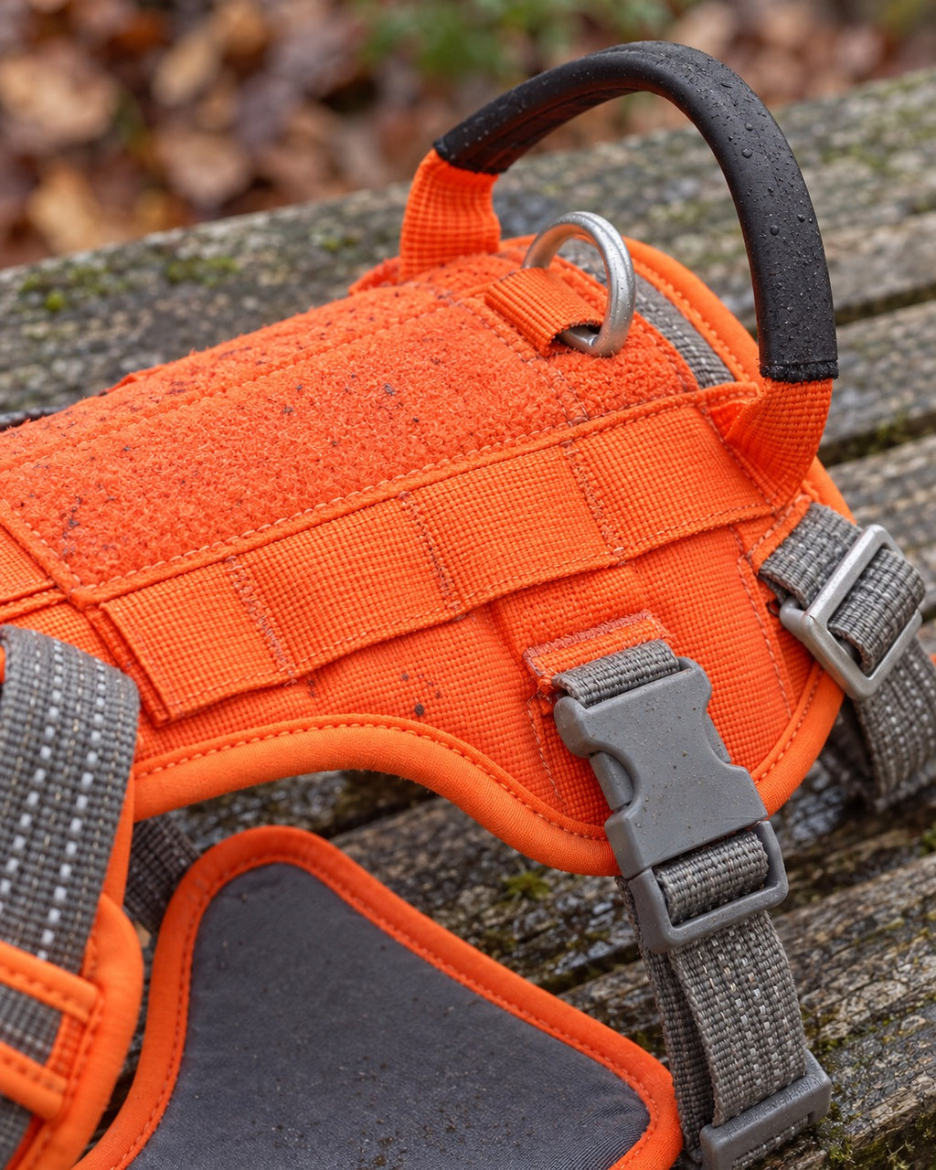 Harnais anti-traction rembourré, Orange — détails et finitions. Taille présentée : L.