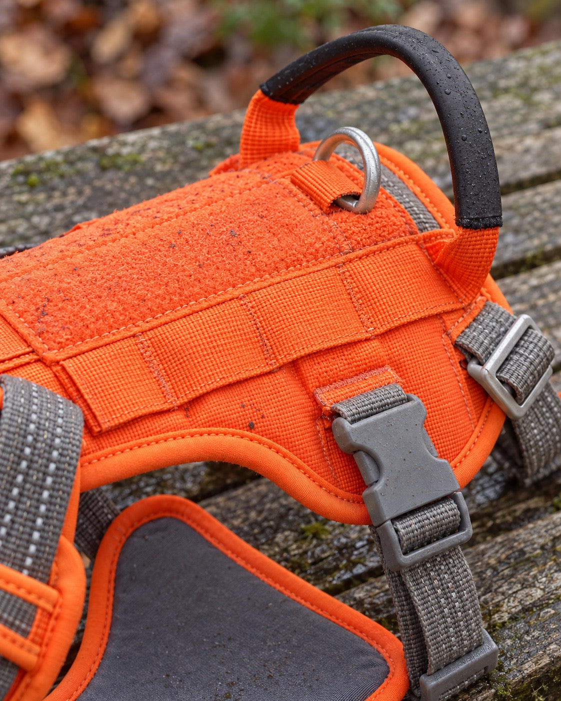 Harnais anti-traction rembourré, Orange — détails et finitions. Taille présentée : L.