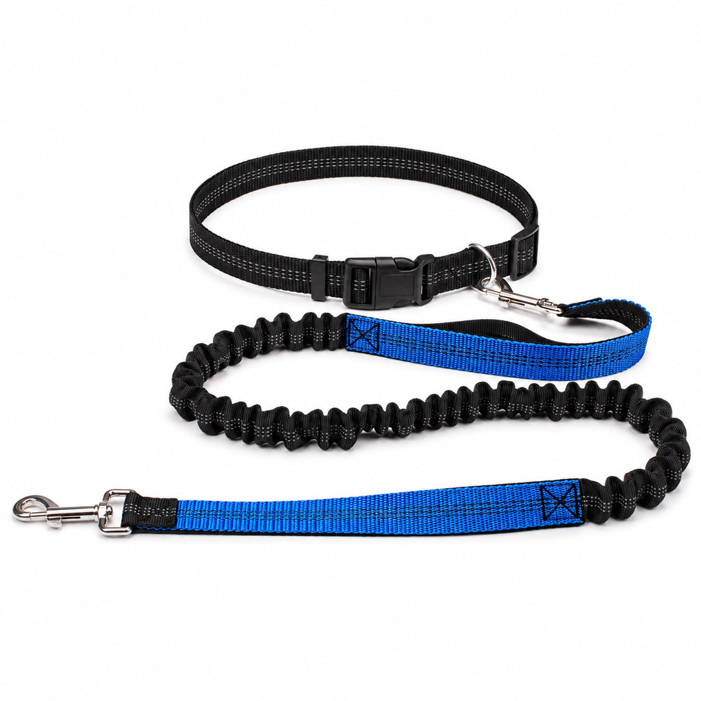 Laisse mains libres running et randonnée, Bleu — produit seul