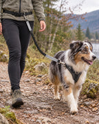 Laisse mains libres running et randonnée, Gris — moment de vie