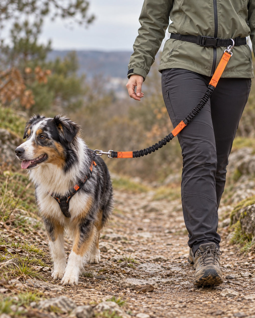 Laisse mains libres running et randonnée, Orange — moment de vie