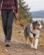 Laisse mains libres running et randonnée, Orange — vue d’ensemble