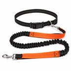 Laisse mains libres running et randonnée, Orange — produit seul