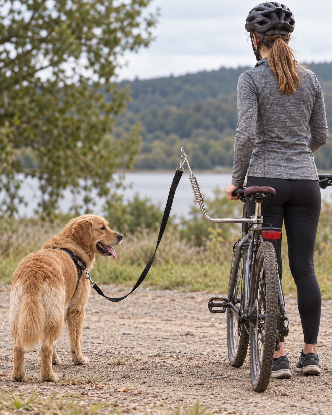 Laisse vélo pour chien en inox avec amortisseur, Modele unique — vue d’ensemble