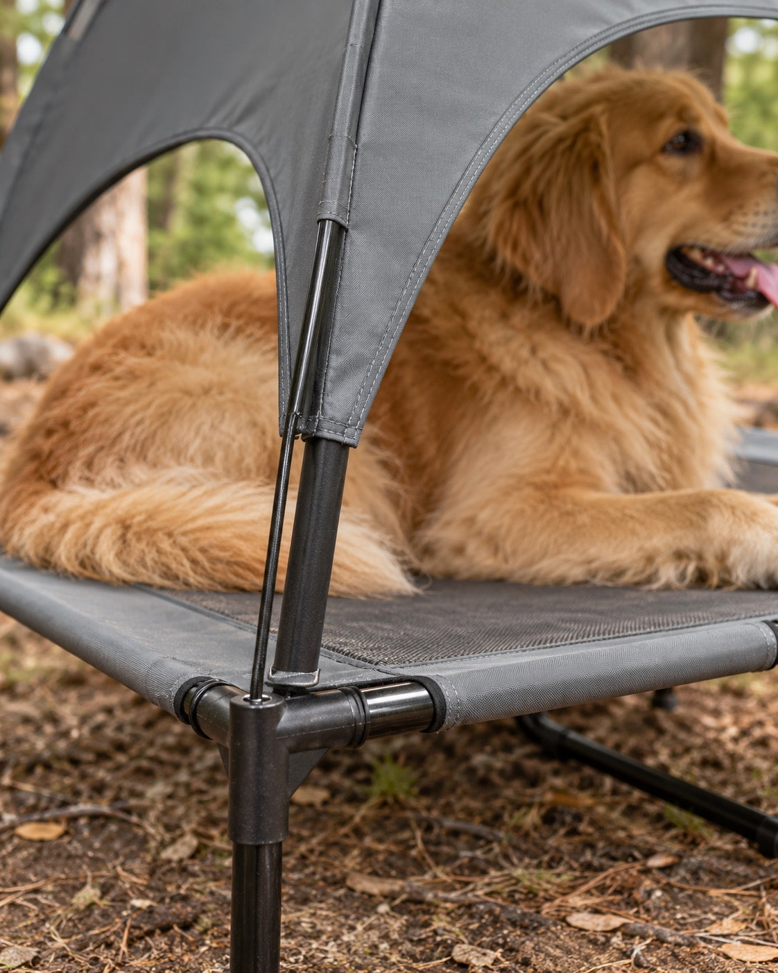 Lit de camp surélevé avec pare-soleil, Modele unique — détails et finitions