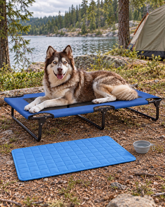 Pack Bivouac
