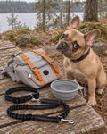 Pack Vadrouille, Sac gris — laisse noire — gamelle grise — en situation