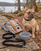 Pack Vadrouille, Sac gris — laisse noire — gamelle grise — vue rapprochée